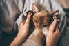 Strengthening The Human-Cat Bond: Understanding Cat Behavior