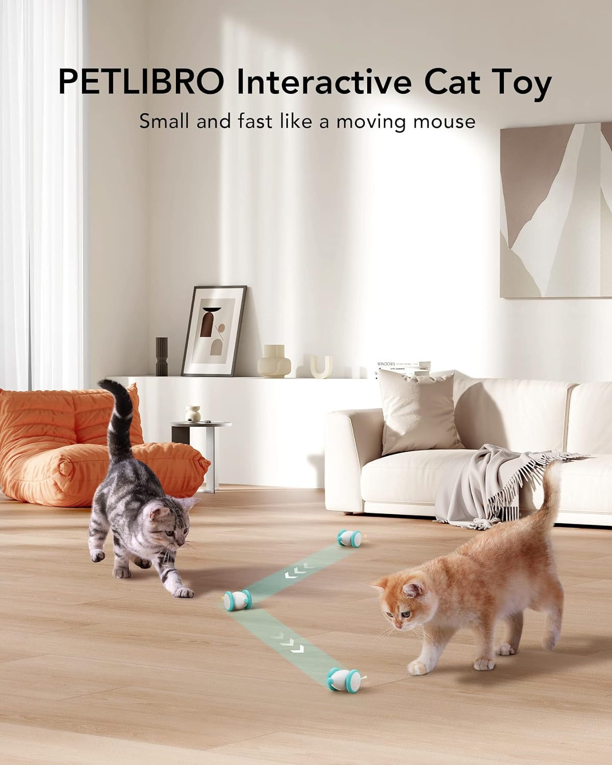 室内猫互动玩具（c6）Indoor cat interactive toys